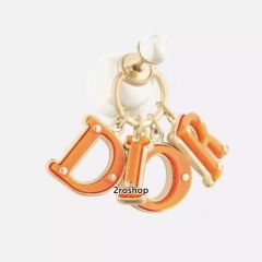 DIOR 피어싱