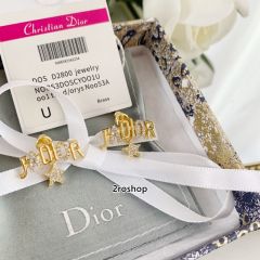 DIOR 피어싱