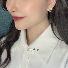 DIOR 피어싱