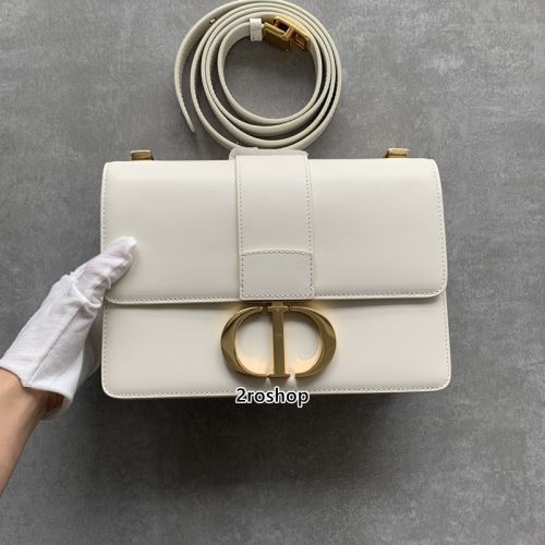 디올몽테인크로스백