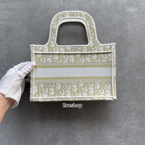 디올오블리크북토트백미니