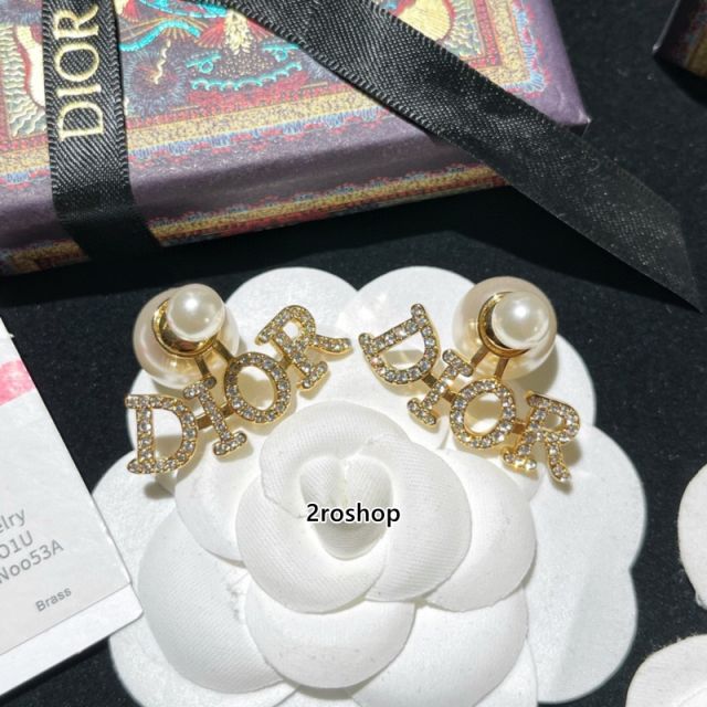 DIOR 피어싱