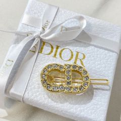 DIOR 헤어핀