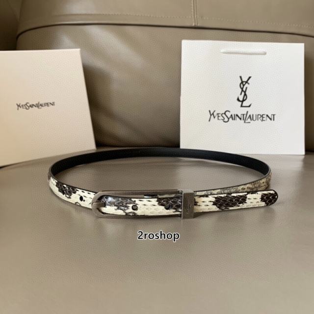 YSL 벨트