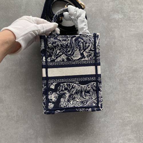 디올토트백미니