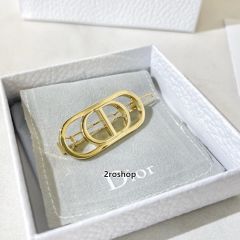 DIOR 헤어핀