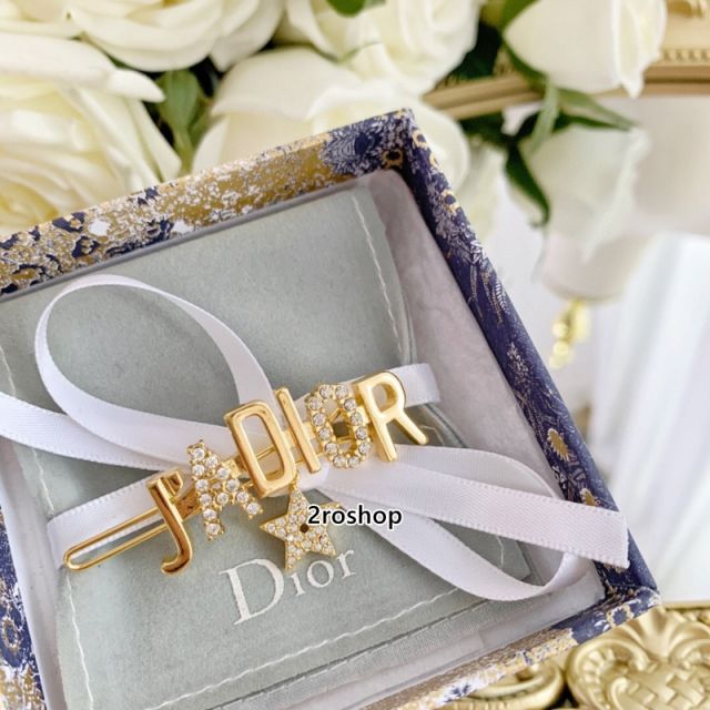 DIOR 헤어핀