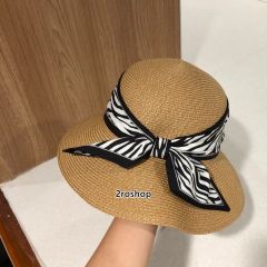 디올모자카키색