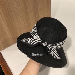 디올모자카키색