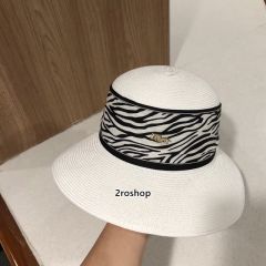 디올모자카키색