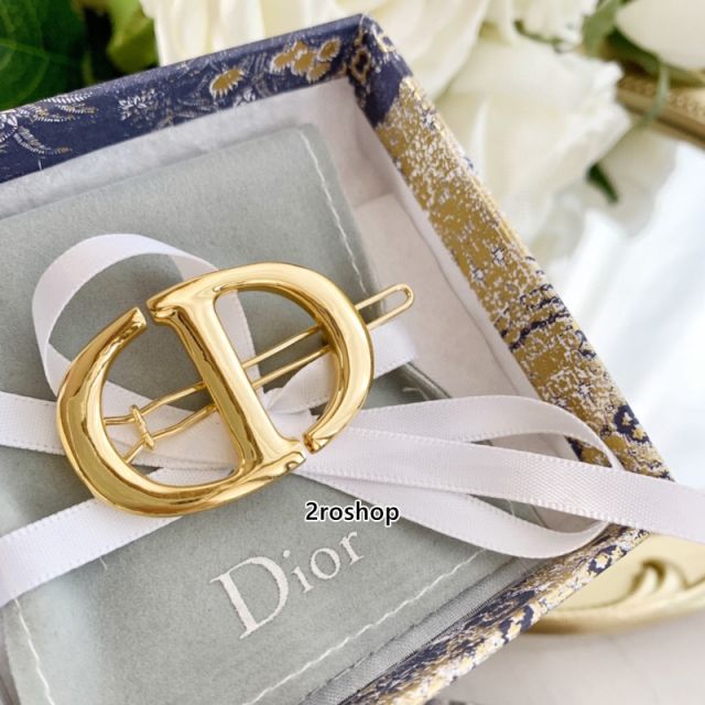 DIOR 헤어핀
