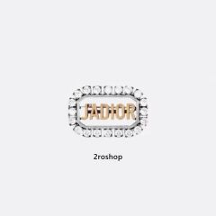 DIOR 헤어핀