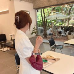 보테가베네타조디토트백