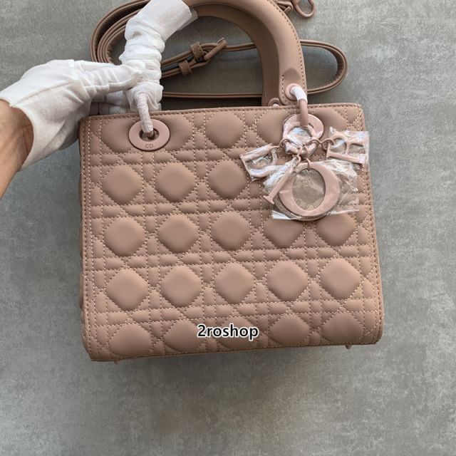 디올레이디백미듐