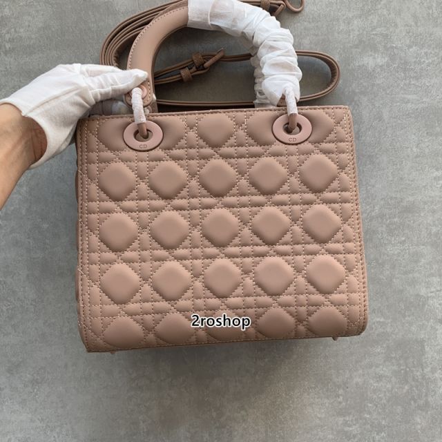 디올레이디백미듐