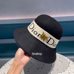 DIOR 모자