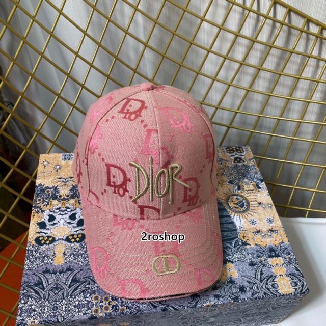 DIOR 모자
