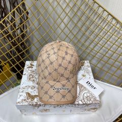 DIOR 모자