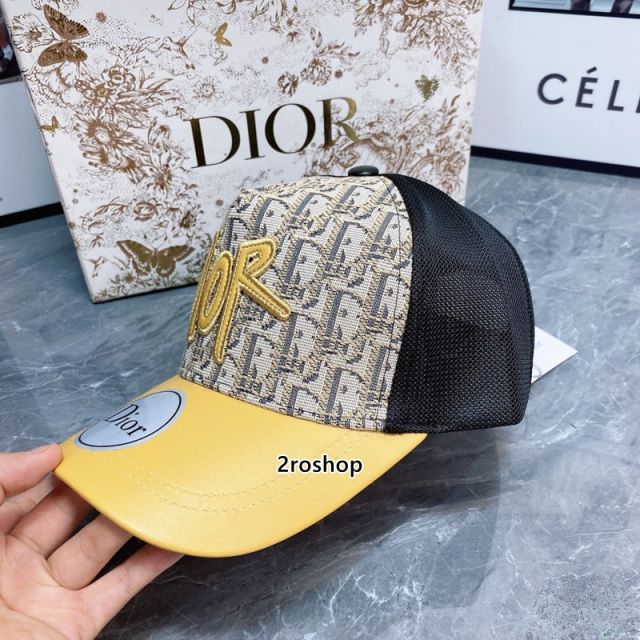 DIOR 모자