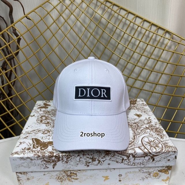 DIOR 모자