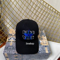 DIOR 모자