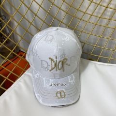 DIOR 모자