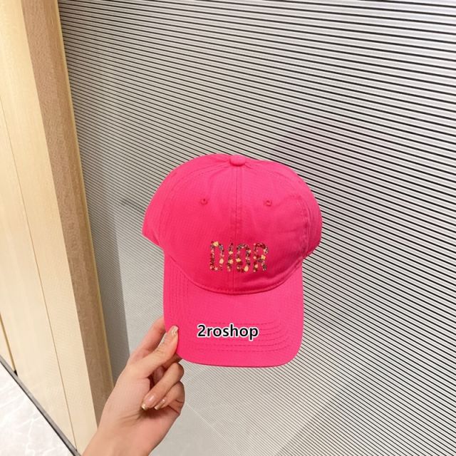 DIOR 모자