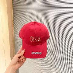 DIOR 모자