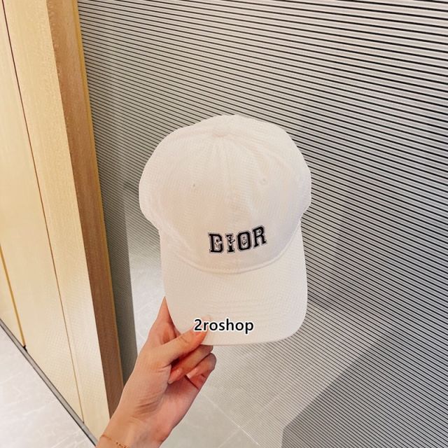 DIOR 모자