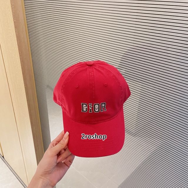 DIOR 모자