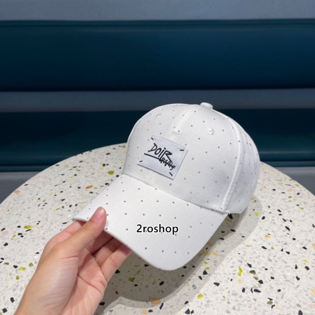 DIOR 모자