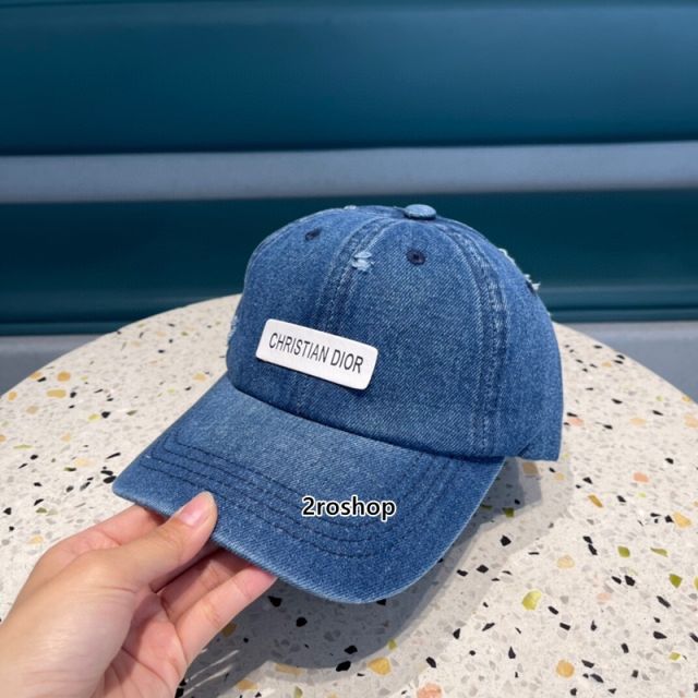 DIOR 모자