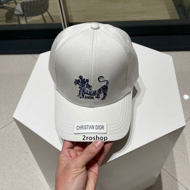 DIOR 모자