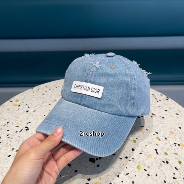 DIOR 모자