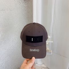 DIOR 모자