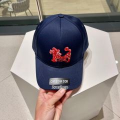 DIOR 모자