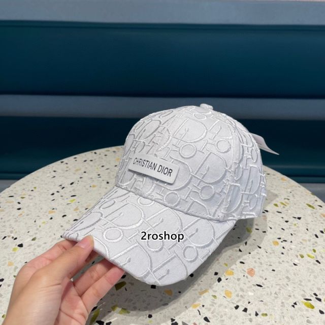DIOR 모자