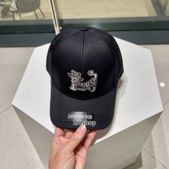 DIOR 모자