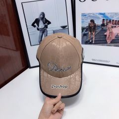 DIOR 모자
