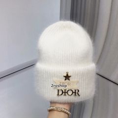 DIOR 모자
