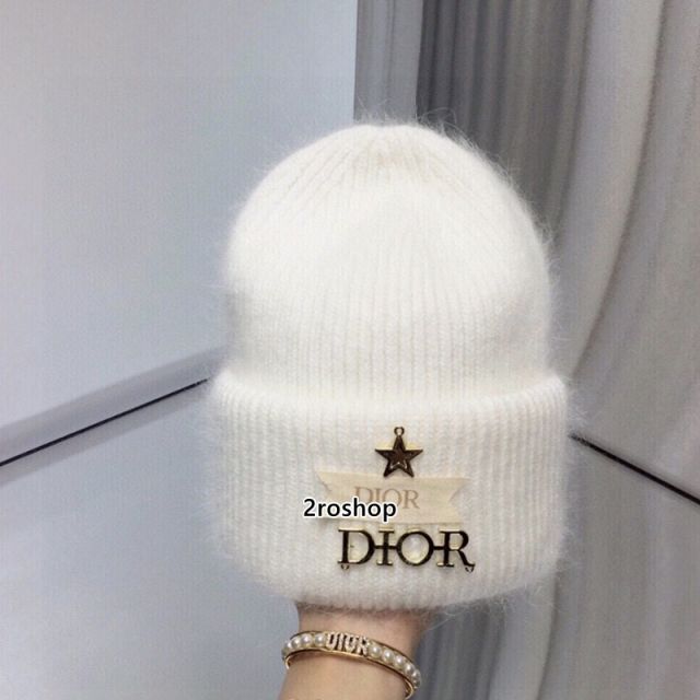 DIOR 모자