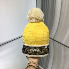 DIOR 모자