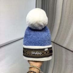DIOR 모자