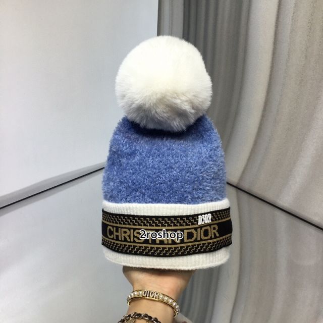 DIOR 모자