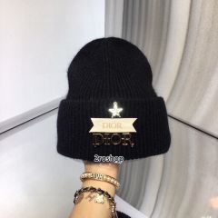 DIOR 모자