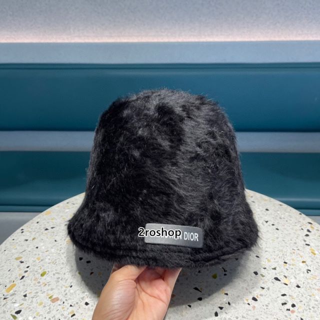 DIOR 모자
