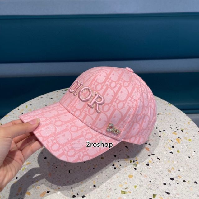 DIOR 모자
