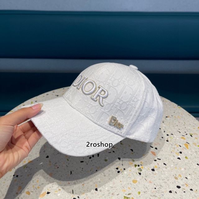 DIOR 모자