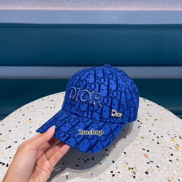 DIOR 모자