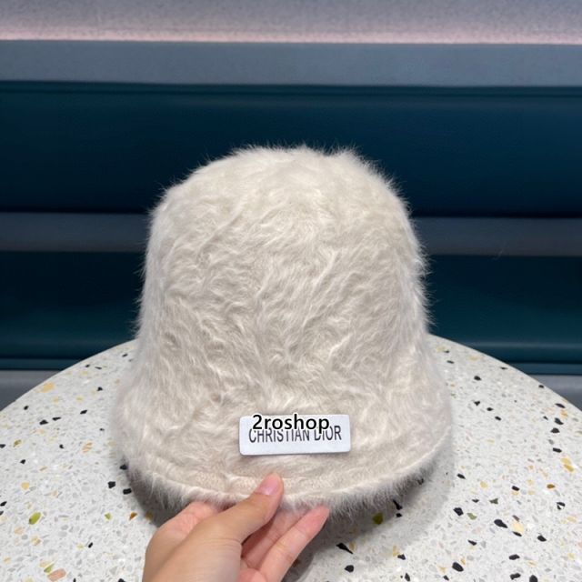 DIOR 모자